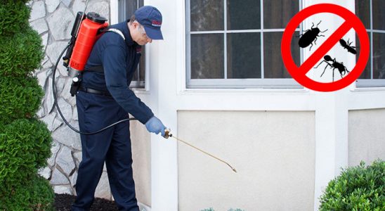Karamürsel Karınca İlaçlama böcek ilaçlama ve haşere kontrolü — ilaclama-tr.com
